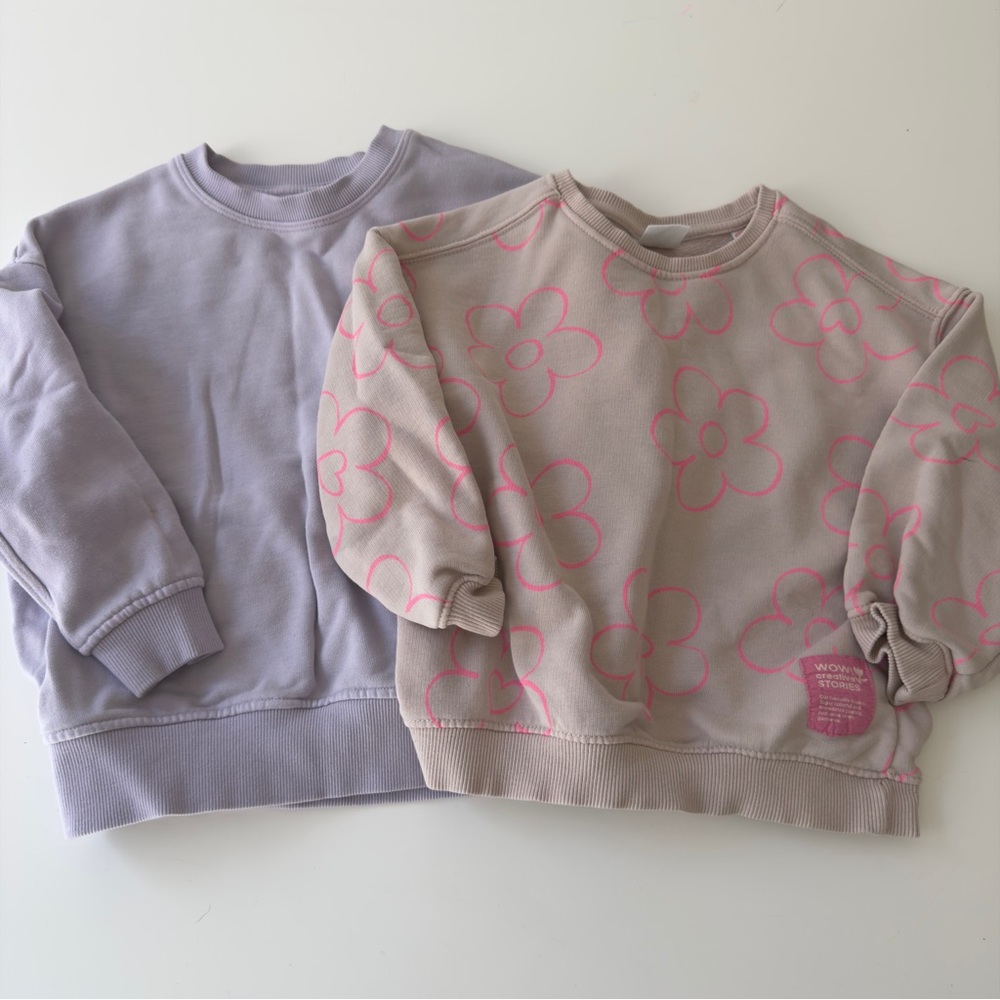 Toddler Girl Zara Crewneck Sweatshirt Bundle 5 Year